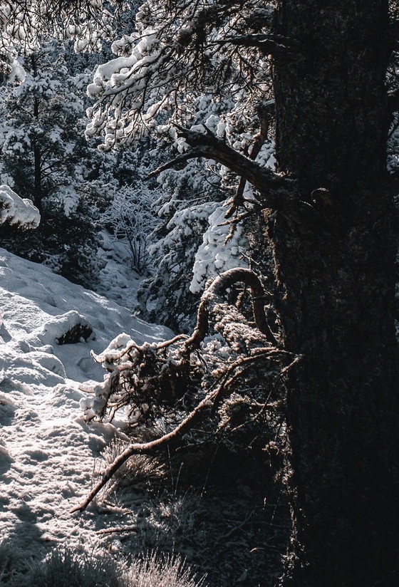 Image 1 of Fotografía de paisajes de montaña / A todo color / Impresión profesional