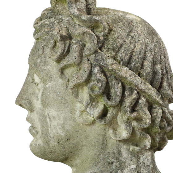 Image 1 of Large Apollo Bust Garden Statue