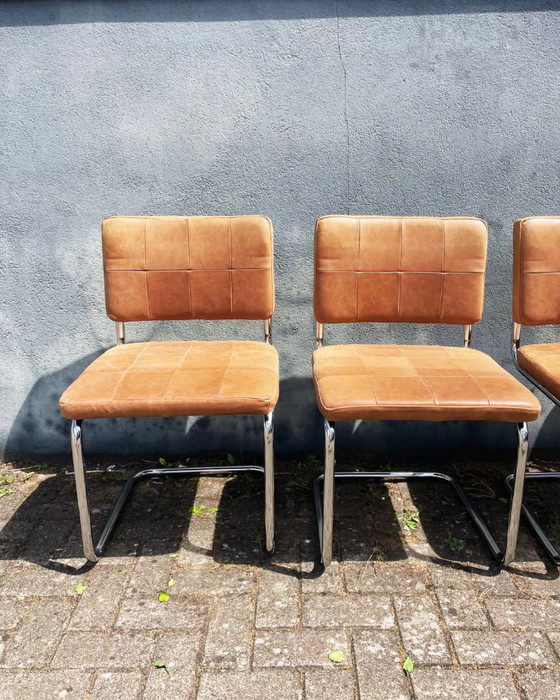 Image 1 of Rohrgestellstühle aus braunem Leder (4 Stück)