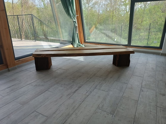 Image 1 of Sylvan Origin - Der Geist des ungezähmten Vermächtnisses