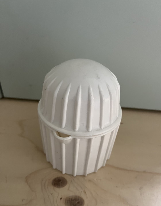 Image 1 of Citruspers Per Alimenti Italië