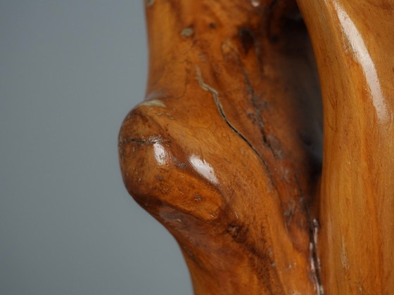 Organische houtsculptuur van H. Hinfelaar, Nederland, jaren 80. – Beeldhouwkunst, Wood (photo 8 of 9)