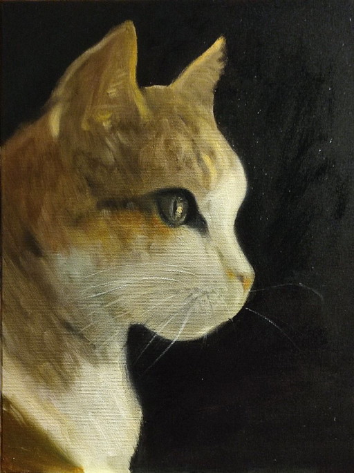 Joanna Drzewiecka - Katze