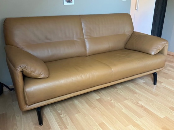 Brown leather 2.5-seater sofa by Leolux model Bora Balanza, 2 seaters, Metal, Modern (photo 3 of 5)