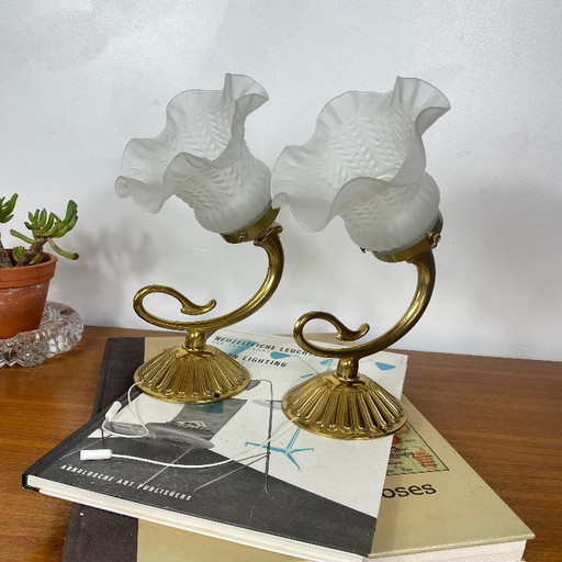 Pair of antique brass gooseneck wall sconces with vintage glass tulip shades – wandlampen