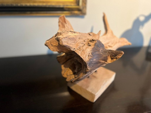Pezzo unico di legno galleggiante, radice di teak squalo – decoratieve objecten, Wood