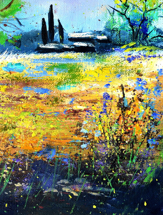 Image 1 of paysage d'été