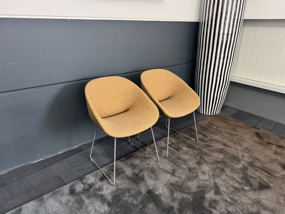 Showroommodel Artifort Beso Stoel – Eetkamerstoelen, Wool (photo 3 of 6)