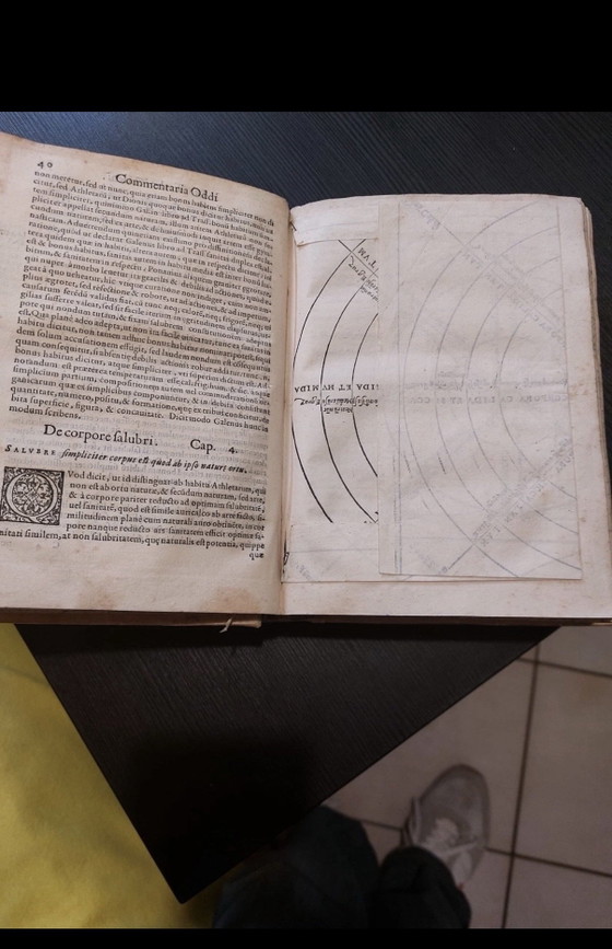 Oddo degli Oddi, Raro libro di medicina del 1574, Stampe artistiche, Carta, Bianco (foto 4 di 11)