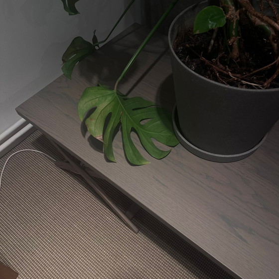 Image 1 of Mesa de centro Gelderland 7680