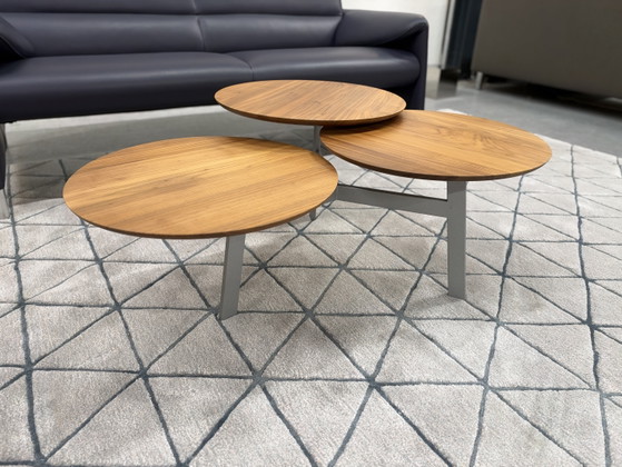 Leolux Ninfea Coffee table walnut houf, Wood, Multi Color (photo 12 of 14)