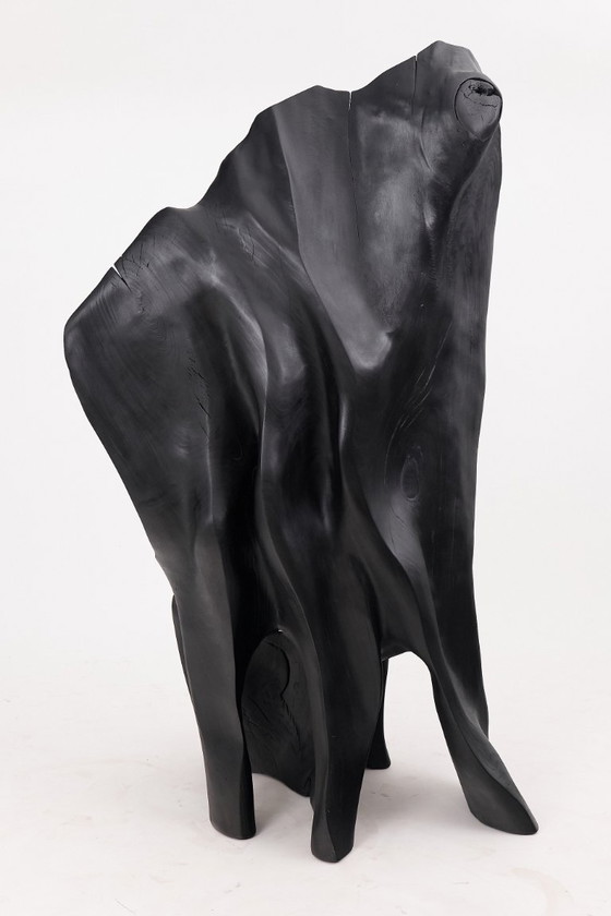 Image 1 of Fauteuil trône en bois noir carbonisé aux formes organiques par Logniture