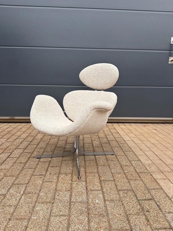 Image 1 of Artifort Big Tulip 1ª Edición 1958 Pierre Paulin, ¡¡¡Impecable estado nuevo!!!