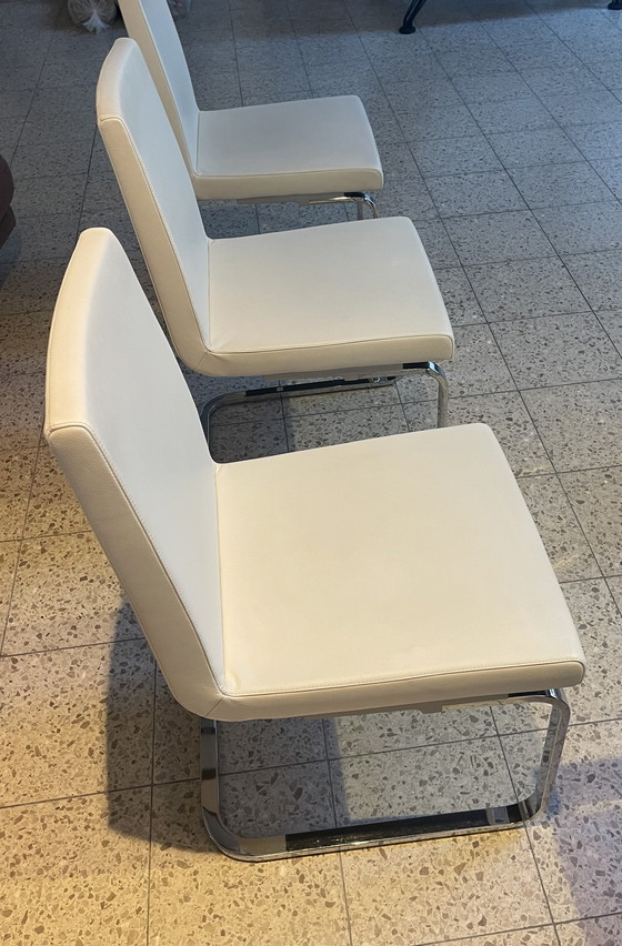 Image 1 of 3 Rolf Benz chairs 620
