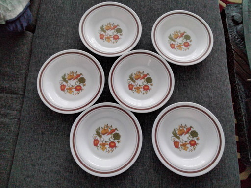 Le verdure Arcopal tutto in uno sono disponibili anche separatamente.