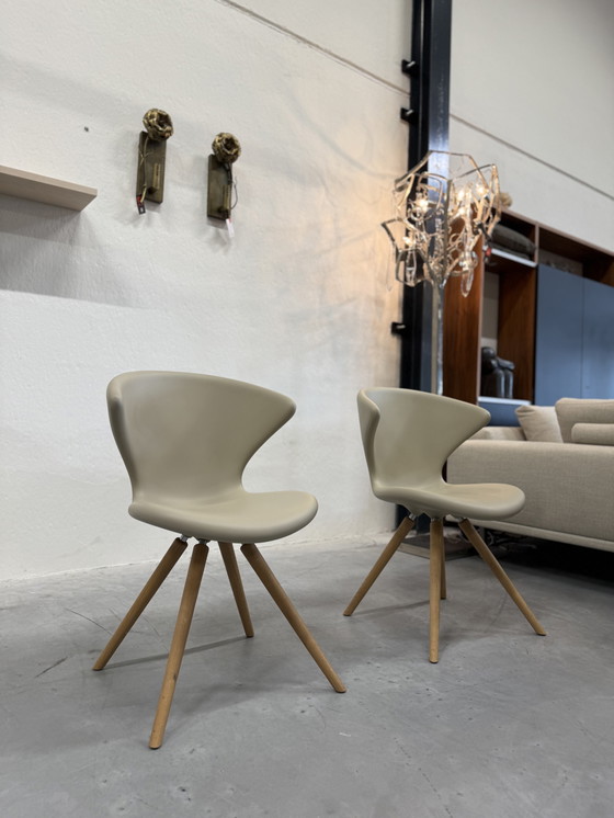 Image 1 of 2 Tonon Concept 902 11 Sedie Soft Touch