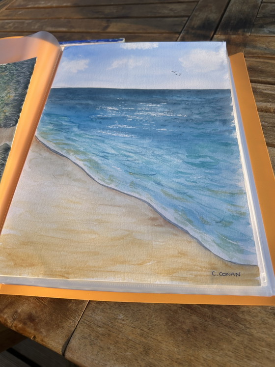Image 1 of Watercolor seaside birds