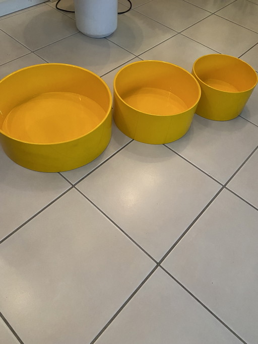3 unused NEBU design (plant) containers