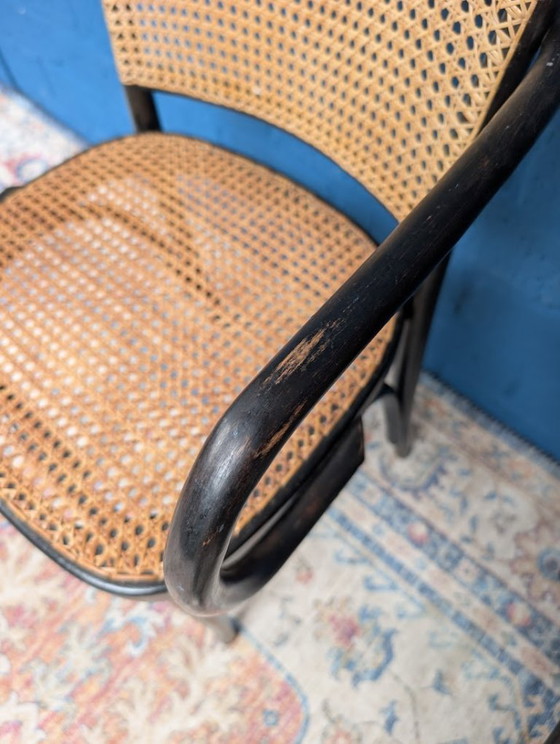 Image 1 of 4 chaises Prague 811 vintage, Josef Hoffmann, années 1960