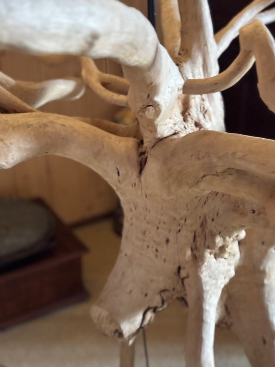 Image 1 of Vloerlamp mangrove 