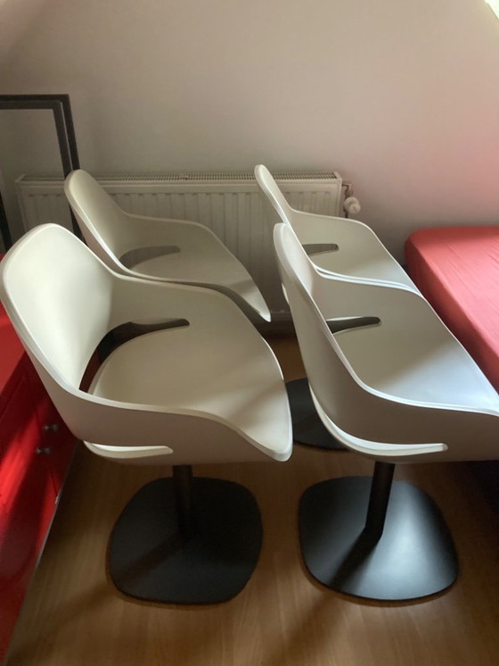 Image 1 of 4 Design chairs Eva brand Zanotta