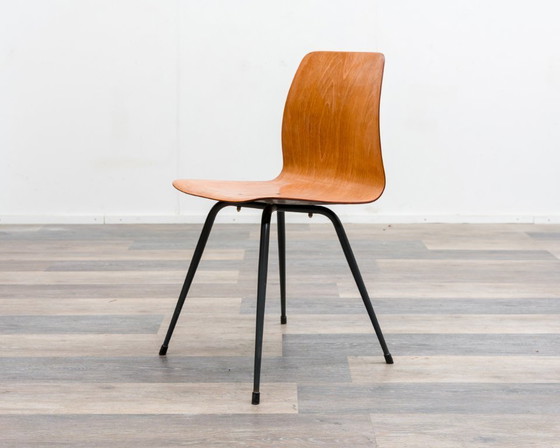 Image 1 of 6er Set Pagholz-Stühle in zweifarbiger Ausführung, Hersteller Pag Presswerke.