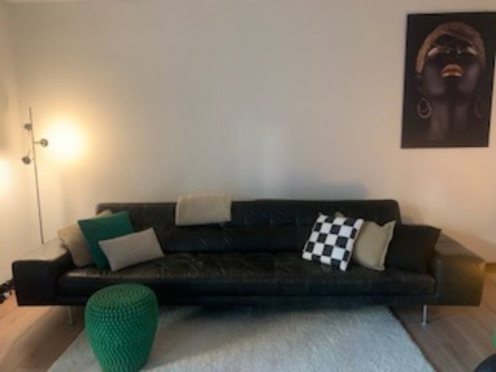 Image 1 of 4-seater leather sofa
