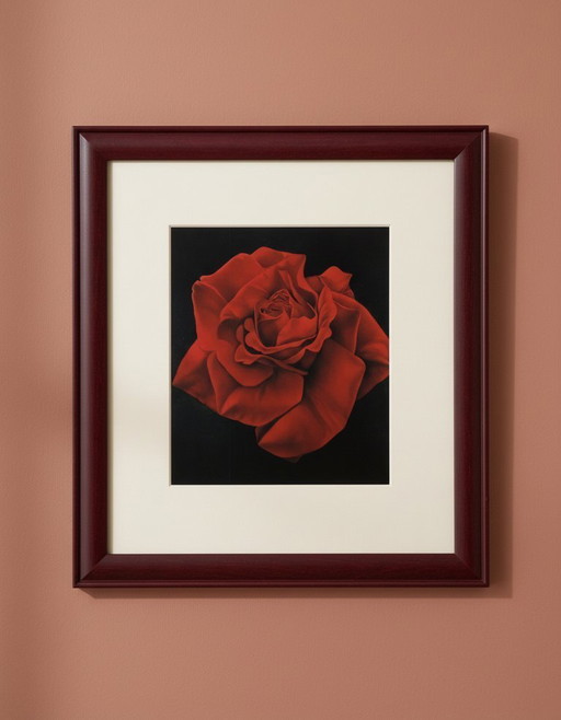 Magie van de Roos - Campana, Franco - Rode Roos - Kunstdruk