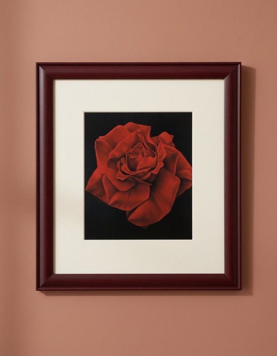 Image 1 of Magie van de Roos - Campana, Franco - Rode Roos - Kunstdruk