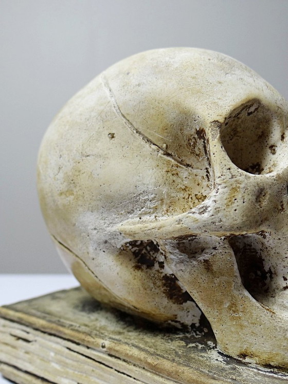 Image 1 of Ancien Memento Mori en plâtre, crâne sur livre, curiosité fin XIXe début XXe