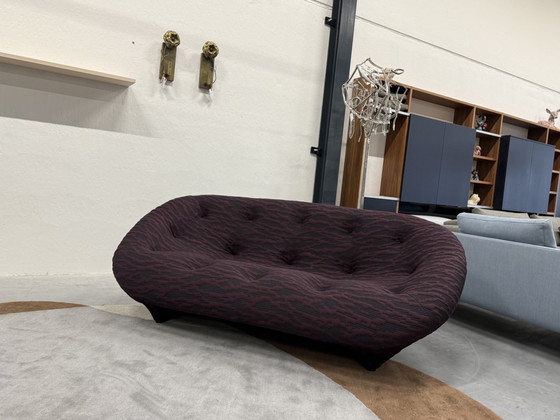 Image 1 of Línea Roset Ploum 3 Zits Banco Berenjena 204