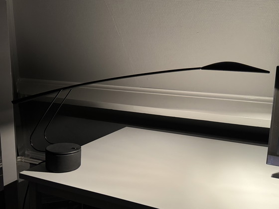 Image 1 of DOVE / MARIO BARBAGLIA & MARCO COLOMBO / lampada da scrivania