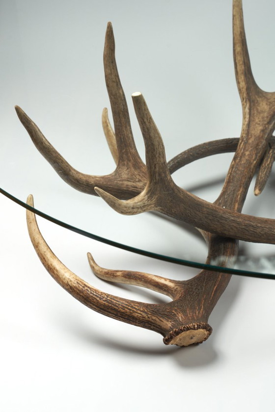 Image 1 of Mesa de centro de cuerno con estante de cristal transparente