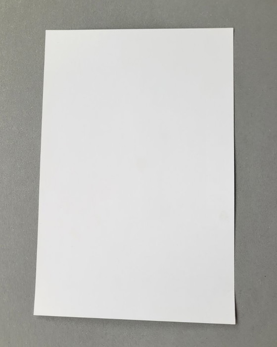 Image 1 of Photographie emblématique d'Helmut Newton | photo signée | Anna Molinari Carré Otis