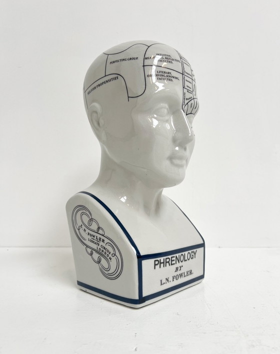 Image 1 of Testa frenologica in ceramica alta 30 cm, anni '90