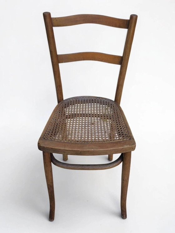 Sedia da bistrò impagliata – Sedie da pranzo, Wood, Art Nouveau (photo 4 of 12)