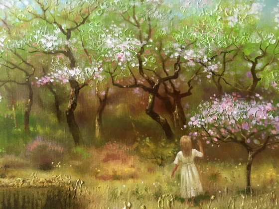 Image 1 of Spring Gardens