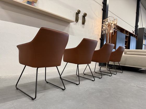 Image 1 of 4 Leolux Mara Dining Chairs Wapiti Hawk leather