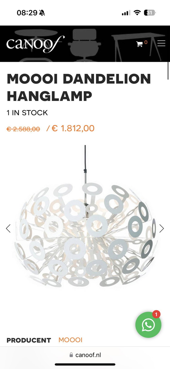 Image 1 of Lámpara colgante de diseño diente de león Moooi diente de león