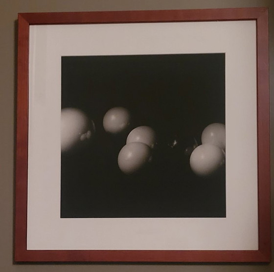 Rien Welman Toekomst door samenspel Silberbromid-Abzüge, 5er-Set, Fotografie, Holz, Papier, Schwarz, Modern (Foto 5 von 8)