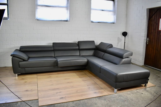 Leather sofa Ewald Schillig Blues leather corner sofa leather couch sofa sofa bed couch corner sofa