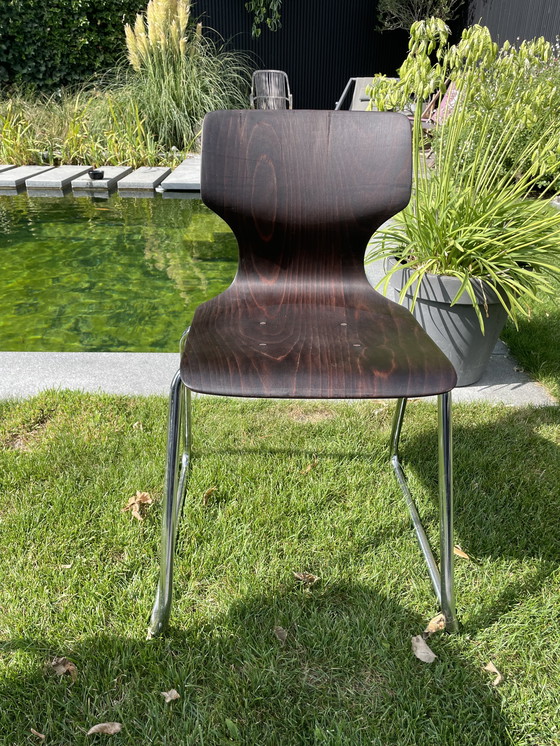 Image 1 of Sedia impilabile Pagholz flötotto vintage 6 pezzi