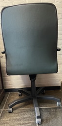 Vintage Ergonomic office chair on wheels -unique green leather- DRISAG