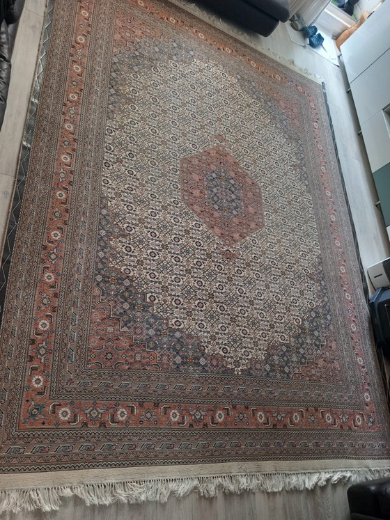 Image 1 of Moud hand-knotted rug 275x365 (Khorasan region, Northeast Iran)