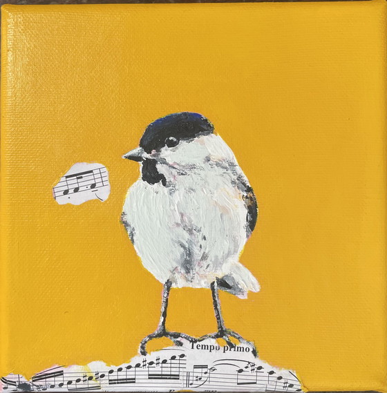 Image 1 of Portret Van Een Matkopmees