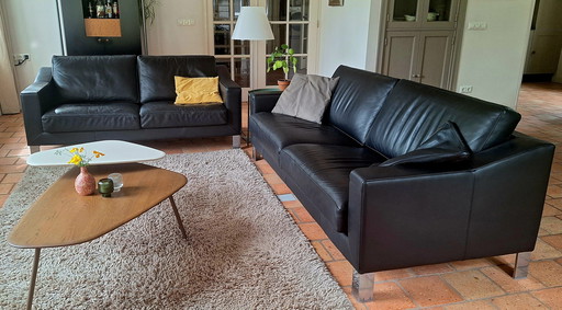 Leolux Antonia Elegance 2,5- und 3-sitzige Ledersofas