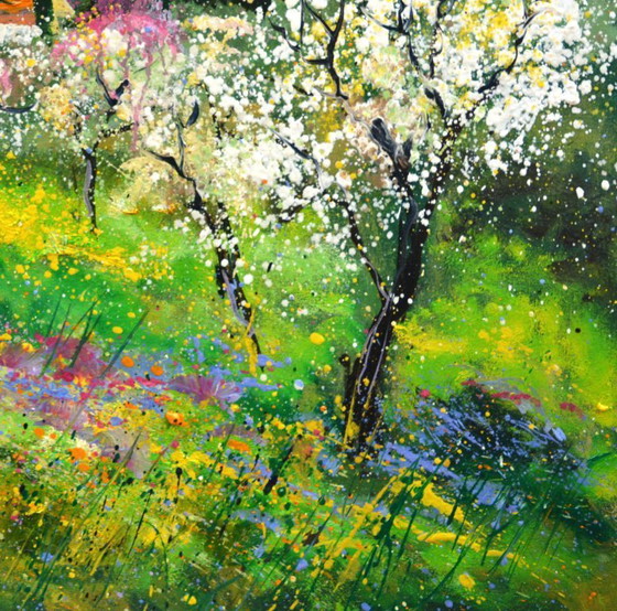 Image 1 of Lente in de Provence