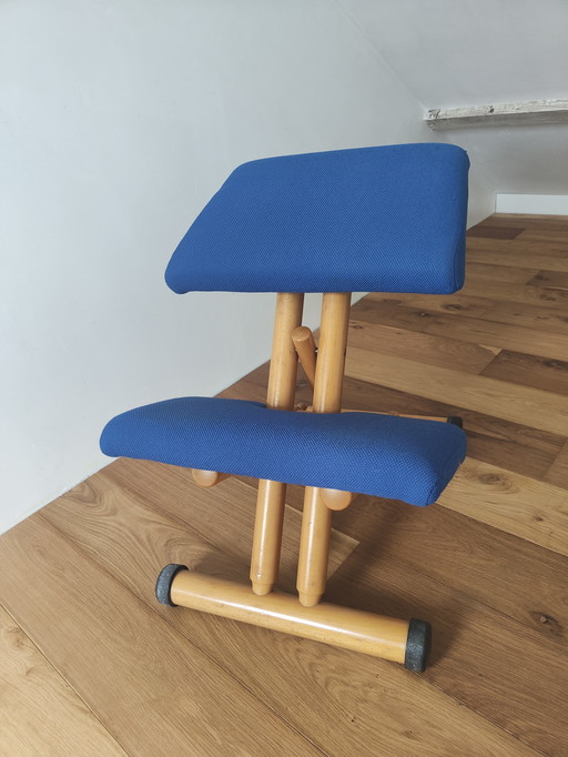 Stokke Varier Multi Balance Chair