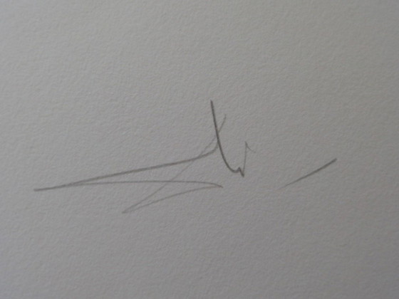 Salvador Dalí: Shakespeare: Enrico IV, incisione originale firmata – Stampe artistiche, Paper (photo 4 of 5)