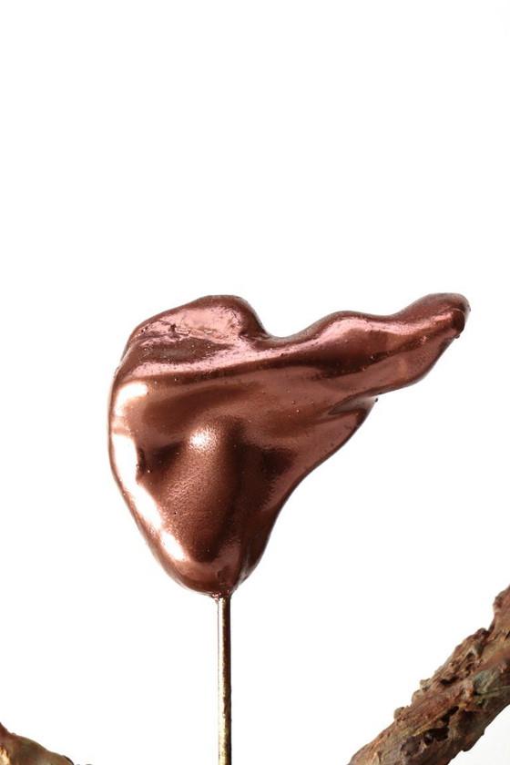 Image 1 of Balance Circle of Nature